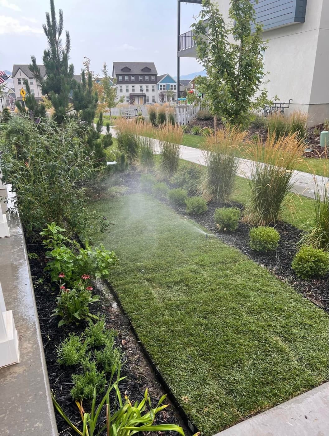 Sprinkler & Irrigation