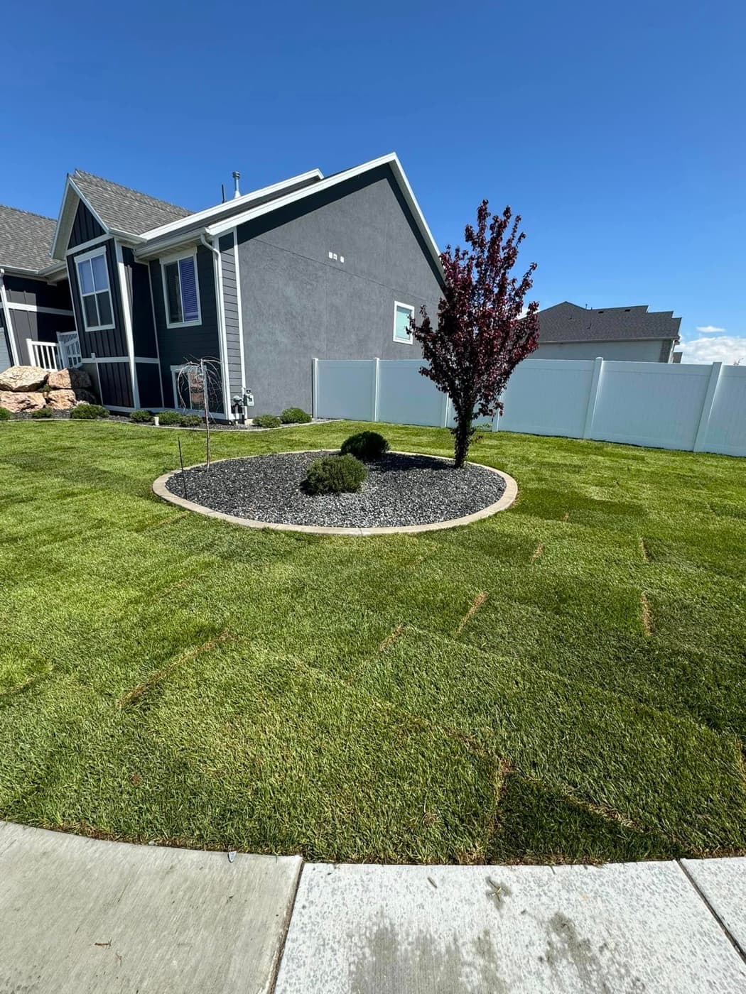 Sod & Lawn Installation