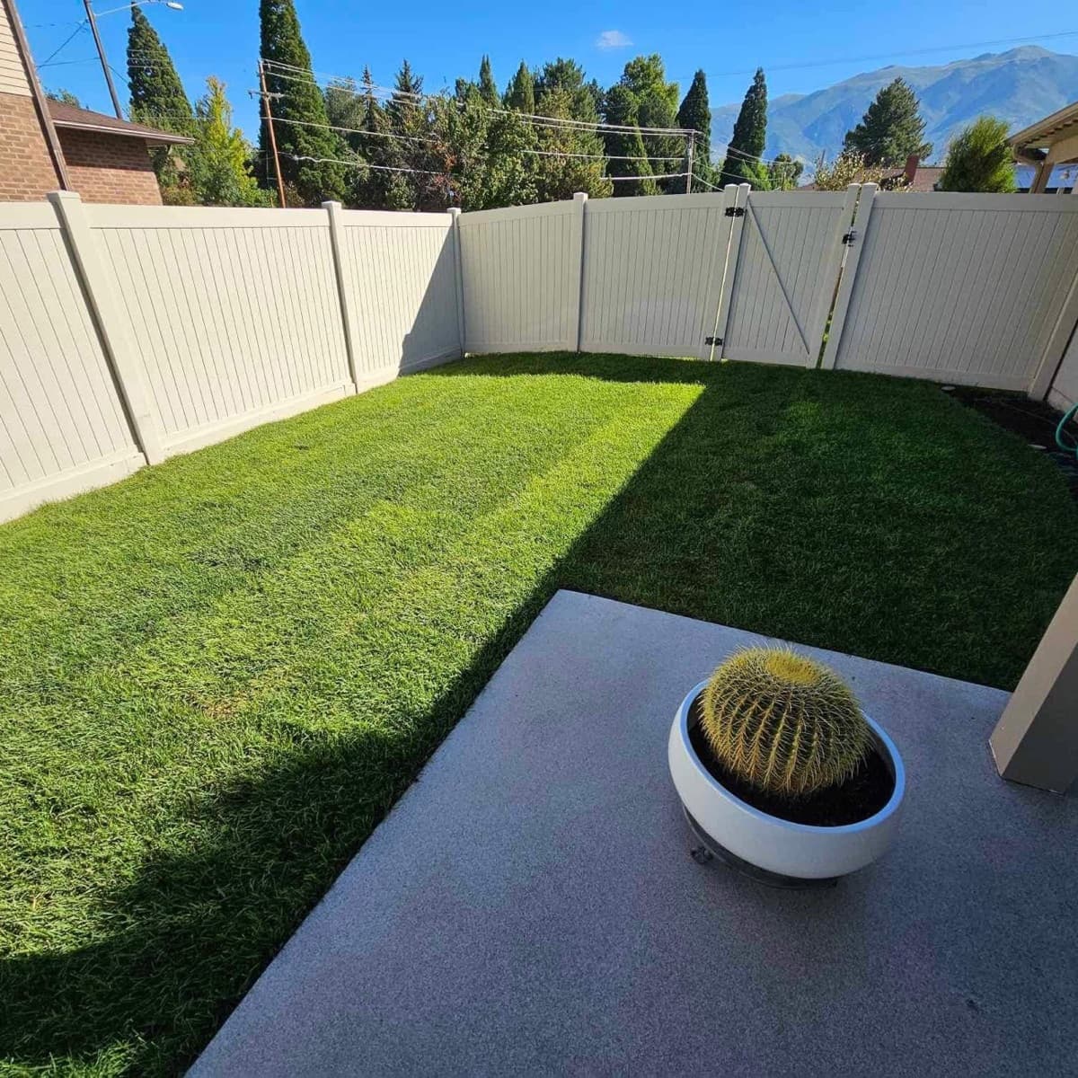 Front Lawn after